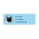 Search for siamese return address labels Kitten