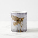 Search for hawk feathers mugs Wild