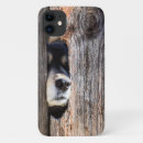 Search for nose iphone cases Cute