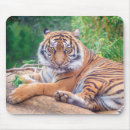 Search for predators mousepads Tiger