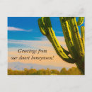 Search for old west postcards Cactus