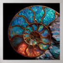 Search for ammonite art Ancient