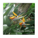 Search for bird of paradise tiles Hawaii