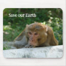 Search for ape electronics Monkey