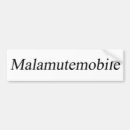 Search for malamute bumper stickers Alaskan