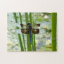 Search for dragonfly toy games Blue