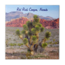 Search for conservative tiles Nature