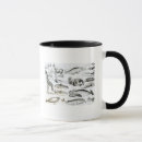 Search for porpoises mugs Whale