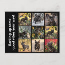 Search for dog photos postcards Puppies