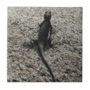 Search for lizard tiles Nature