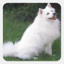 Search for american eskimo stickers Dog