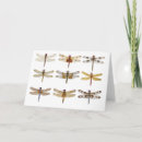Search for flying insects cards Wings