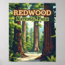 Search for redwood tree posters Vintage travel