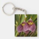Search for hybrids key rings Orchids