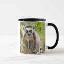 Search for ring tailed lemur mugs Adorable