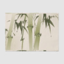 Search for shooting script Bamboo
