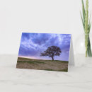 Search for lone tree Clouds