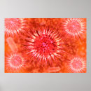 Search for microbiology art Close up