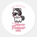 Search for cowboy dressage stickers Cowgirl
