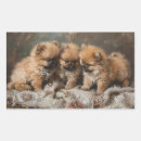 Search for pomeranian art stickers Cute