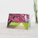 Search for crab apple cards Pink