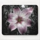 Search for glorious mousepads Abstract