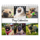 Search for pug calendars Mops