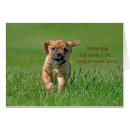 Search for puggle postcards Pet