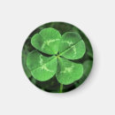 Search for four leaf clovers magnets 4 leaf clover