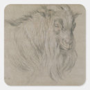 Search for farmyard stickers Studies
