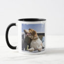 Search for carefree mugs Animal body part