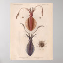 Search for red sea art Vintage