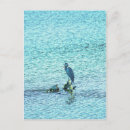 Search for the thinker postcards Nature