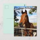 Search for running horse birthday cards Animal