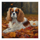 Search for cavaliers posters Pet