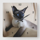 Search for siamese cat art Seal point