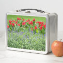 Search for photo lunch boxes Nature