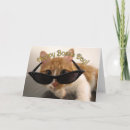 Search for boss day cards Cat