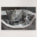 Search for baby puzzles Pets