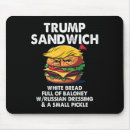 Search for sandwich electronics Usa