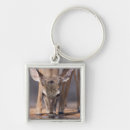 Search for deer stand key rings Standing