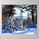 Search for snow covered trees posters Clouds