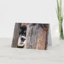 Search for puppy nose cards Dog