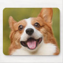 Search for dog picture mousepads For pets