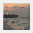 Search for maldives magnets Sunset