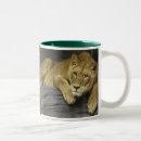 Search for african wildlife mugs South africa