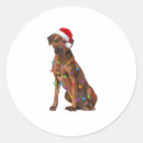 Search for ridgeback stickers Wolf