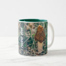 Search for morel mugs Mycology