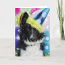 Search for birthdaycard cards dog