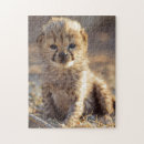 Search for male puzzles Carnivore